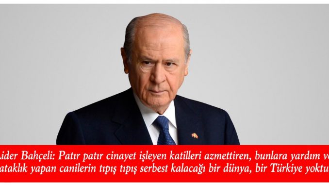 lider-31-k